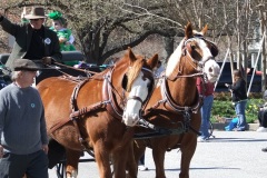St_Patricks_11_063