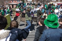 St_Patricks_11_068